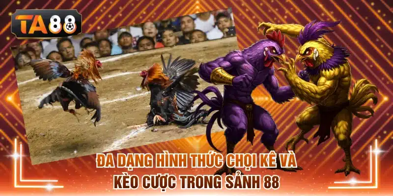 Đa dạng hình thức chọi kê và kèo cược trong web chọi kê 88