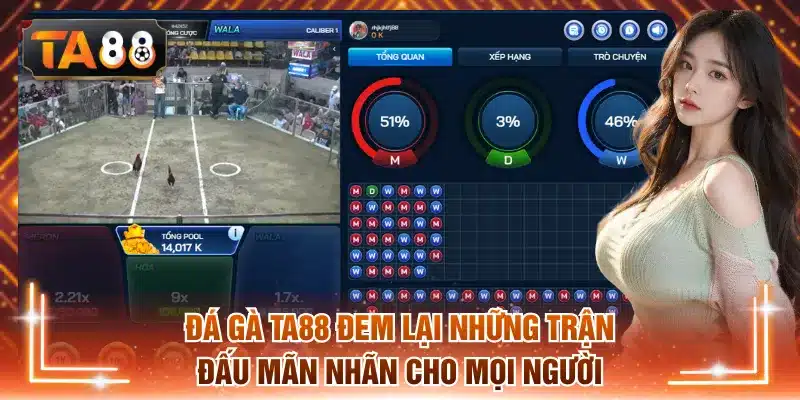 Đá gà TA88 đem lại những trận đấu mãn nhãn cho mọi người