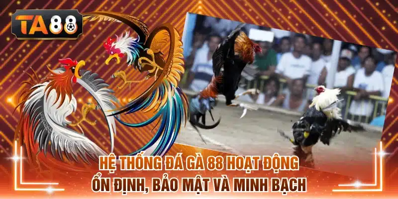 Hệ thống đá gà 88 hoạt động ổn định, bảo mật và minh bạch