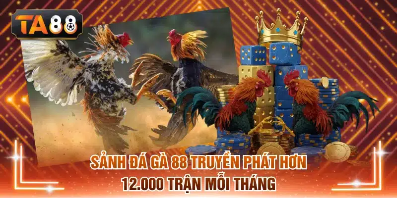 web đá gà 88 truyền phát hơn 12.000 trận mỗi tháng